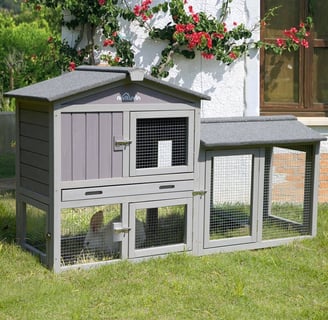 small sized chicken coop with chicken inside