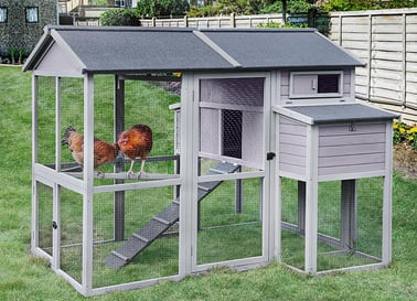 medium sized chicken coop with 2 chickens inside
