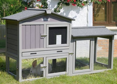 small sized chicken coop with chicken inside